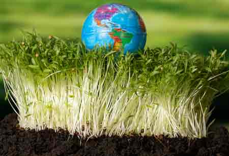 Agri-Distribution Without Borders: Scaling Supply Chains for a Globalized World